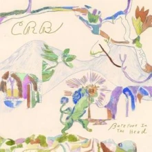 Chris Robinson Brotherhood, CD BROTH... - BAREFOOT IN THE HEAD