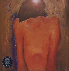 Vinyl 13