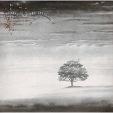 Vinyl WIND AND WUTHERING