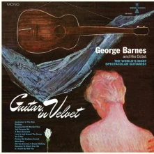 Vinyl GUITAR IN VELVET
