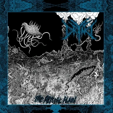 Vinyl ABYSSAL PLAIN