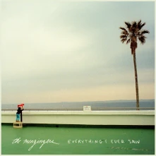 Vinyl EVERYTHING I EVER SAW