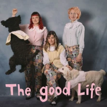 Vinyl THE GOOD LIFE