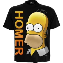 Homer Portrait thumbnail