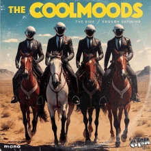 Vinyl 7-THE RIDE / ENOUGH DE...