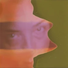 Grouper, Vinyl SHADE