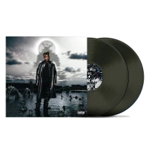 Vinyl Fighting Demons