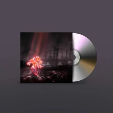 CD A KISS FOR THE WHOLE WORLD