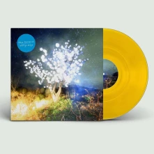 Vinyl VERTIGO DAYS