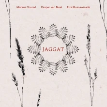 Markus Conrad & Caspa, CD JAGGAT