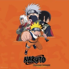 Vinyl NARUTO SYMPHONIC EXPERIENCE