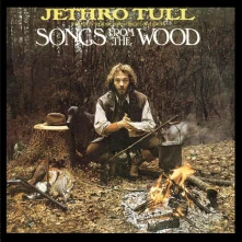 CD Songs From The Wood
