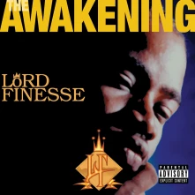 Vinyl The Awakening (25th Anniversary Edition)
