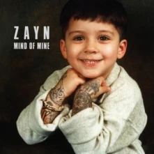 Vinyl Mind of Mine