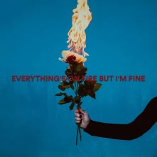 CD EVERYTHING'S ON FIRE B...