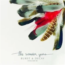 Vinyl BURST & DECAY (VOLUME III)