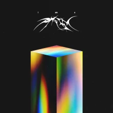 Vinyl I AM A PRISM
