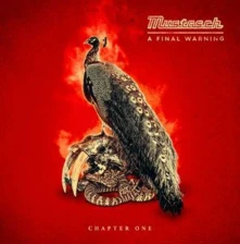 Vinyl A FINAL WARNING - CHAPTER ONE