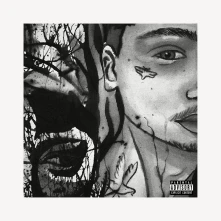 CD ADHDKIDD
