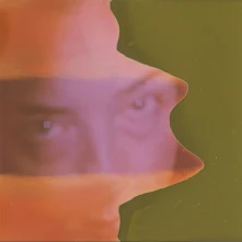 Grouper, CD SHADE