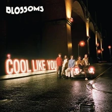 CD BLOSSOMS - COOL LIKE YOU