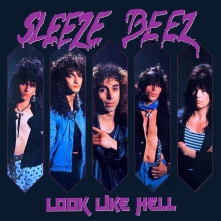 Sleeze Beez, CD LOOK LIKE HELL