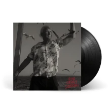 Rob Grant, Vinyl Lost At Sea