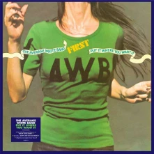 Vinyl PUT IT WHERE YOU WANT IT