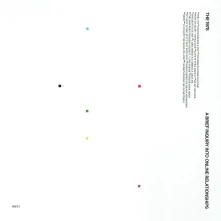 Vinyl A BRIEF INQUIRY INTO...