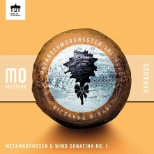 CD STRAUSS: METAMORPHOSEN...