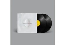 Vinyl A GHOST IS BORN