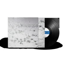 Vinyl APPEAR DISAPPEAR
