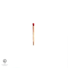 Rammstein, Vinyl Untitled