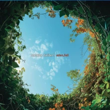 CD EDEN FALL