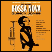 Vinyl & His Orch. - Big Band Bossa Nova