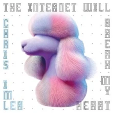 Vinyl THE INTERNET WILL BREAK MY HEART