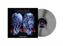 Vinyl DISCIPLINE & PUNISH