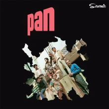 Vinyl PAN