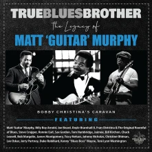 Various Artists, Vinyl TRUE BLUES BROTHER: LE...
