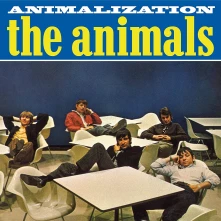 CD ANIMALIZATION