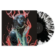 Vinyl I SHOULD CALL THEM