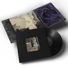 Vinyl AMARO