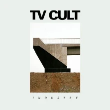 Vinyl INDUSTRY