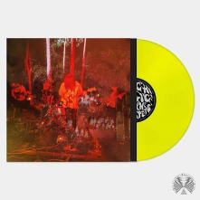 Psychedelic Porn Crumpets, Vinyl LEVITATION SESSIONS