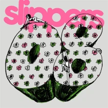 CD SLIPPER 08