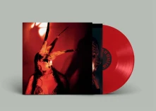 Vinyl BURNING IT FEELS LIKE