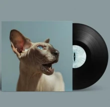 Vinyl GOLDEN FRAMES