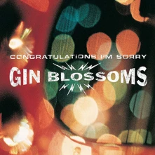 Vinyl CONGRATULATIONS I'M SORRY