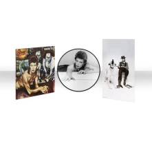 Vinyl DIAMOND DOGS (PICTURE VINYL)