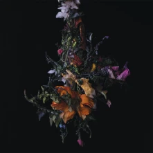 Vinyl NATURE MORTE